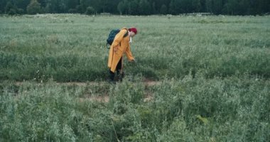 Hiker on foot walks through field plucks blade of grass and puts it in his mouth