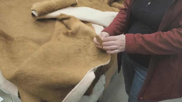 Zwangere vrouw koopt tapijt gemaakt van natuurlijk bont en leer. Handen van dichtbij. — Stockvideo