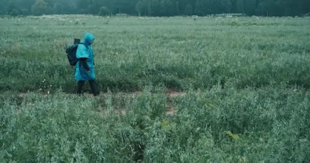 Kobieta w niebieskim płaszczu przeciwdeszczowym i plecaku przechodzi przez pole z trawą — Wideo stockowe