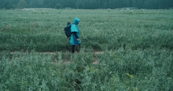 Mujer con un impermeable azul camina a través de un campo y mira un mapa en su teléfono — Vídeo de stock