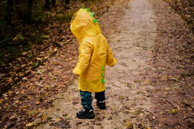 Dinozor armalı bir çocuk ıslak bir sonbahar parkında yürüyor.