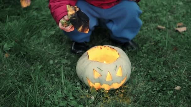 Bambina in giacca gioca con zucca incandescente per Halloween sull'erba nel parco — Video Stock