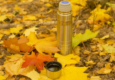 termos yaprakların üzerine