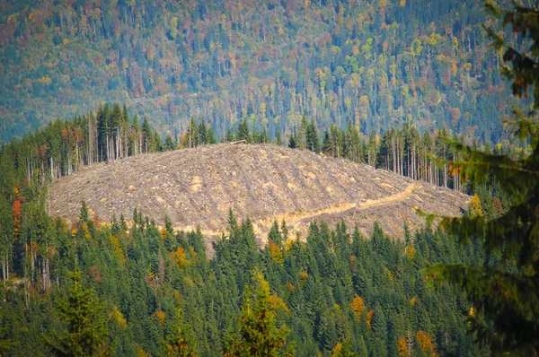 Abgeholzte Bergkuppe — Stockfoto
