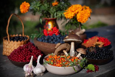 Kırsaldaki Hasat Festivali 'nin bir kutlaması; böğürtlen, çiçek ve mantarlarla dolu renkli bir yaşam