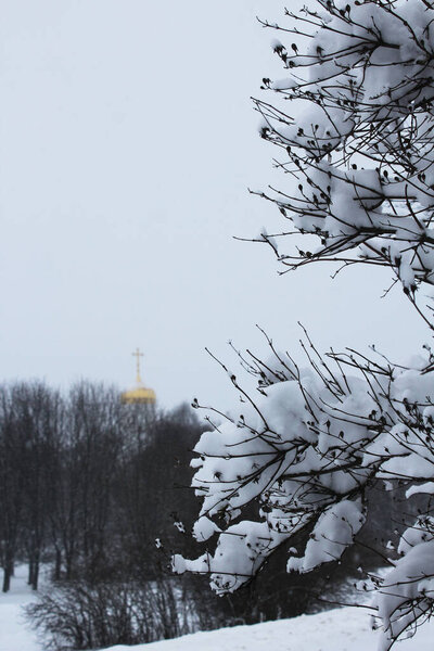 Зимний пейзаж с заснеженными ветвями и видимой церковью вдали.