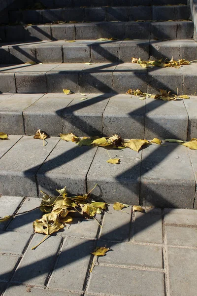 秋天背景在楼梯上 有节奏的阴影来自栏杆 黄叶躺在台阶上 — 图库照片
