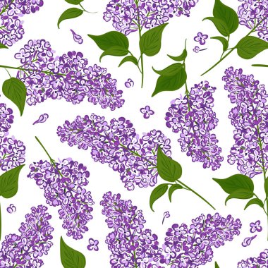Lilac seamless pattern. Hand drawn vector background of branches blooms purple flowers.