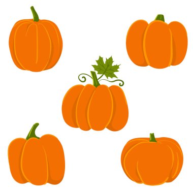 Bir dizi vektör çizgi balkabağı. Portakal sebze koleksiyonu