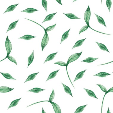 Suluboya boyalı yapraklar ve bitki filizleri. Beyaz arkaplanda pürüzsüz desen.