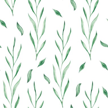 Suluboya bitkilerin yaprakları. İzole edilmiş beyaz bir arka planda kusursuz bir desen. Tekstil