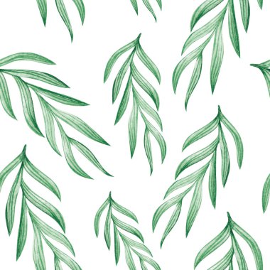 Suluboya bitkilerin yaprakları. Beyaz arkaplanda pürüzsüz desen.