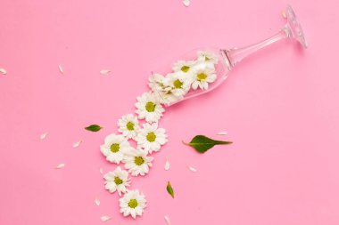 Pembe arka plandaki beyaz çiçekler minimalist bir sezonda parti konseptidir. Doğanın çiçek açması fikri. Çiçeklerin bileşimi