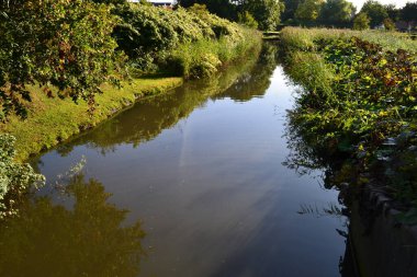 Her iki tarafında yeşil bitki örtüsü olan bir dere.