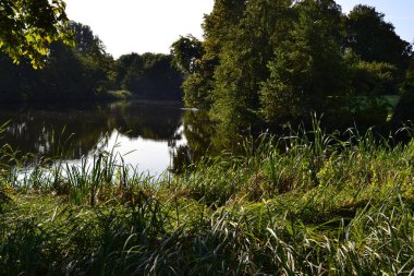 Yeşil ağaçları ve sudaki yansımaları olan güzel bir göl.