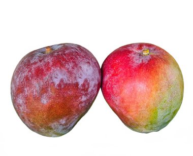 Beyaz arka planda olgun mangolar