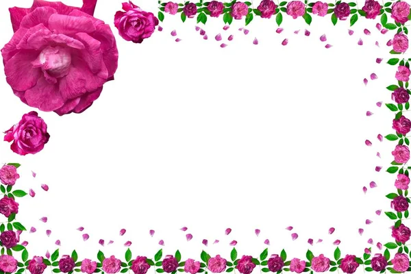 白い背景にピンクのバラのフレーム ウェブデザイン ギフトカード バレンタインデー 結婚式 誕生日 国際女性デー 3月8日 母の日のポスター — ストック写真