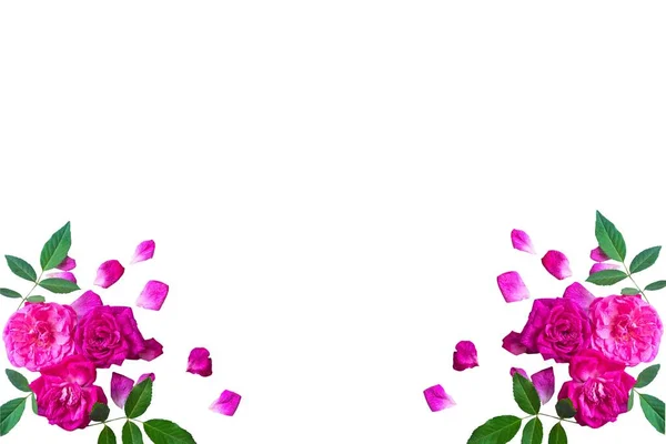白い背景にピンクのバラのフレーム ウェブデザイン ギフトカード バレンタインデー 結婚式 誕生日 国際女性デー 3月8日 母の日のポスター — ストック写真