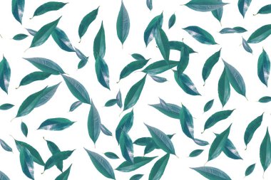 Beyaz arkaplanda yeşil yapraklar var. Web tasarımı için poster, hediye kartları, davetiyeler. Doğa ve ekoloji kavramı