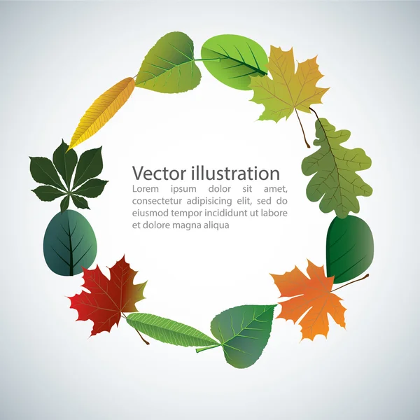 Vektor von bunten Blättern im Herbst. — Stockvektor