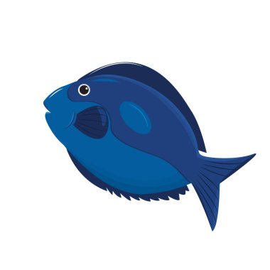 Mavi balık ya da bayrak cerrahı, su altında yüzen bir deniz hayvanıdır. Çizgi film vektör çizimi beyaz arkaplanda izole edildi.