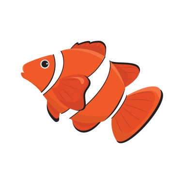 Palyaço balığı suyun altında yüzen bir deniz hayvanıdır. Beyaz arkaplanda izole edilmiş çizgi film amfiprionunun vektör çizimi.