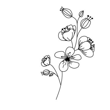 Doğrusal el yapımı dekoratif çiçek. Siyah ve beyaz botanik yalıtılmış element. Vektör illüstrasyonu