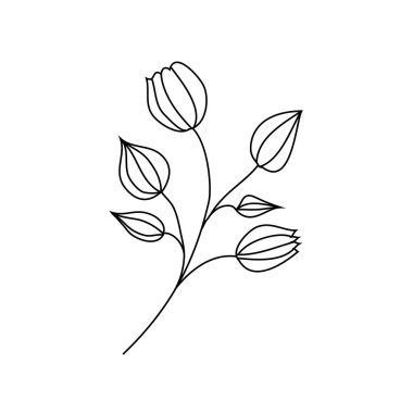Vektör doğrusal el dekoratif çiçek, siyah ve beyaz botanik izole resimleme