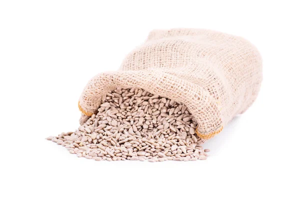 Saco derramado de sementes de girassol — Fotografia de Stock