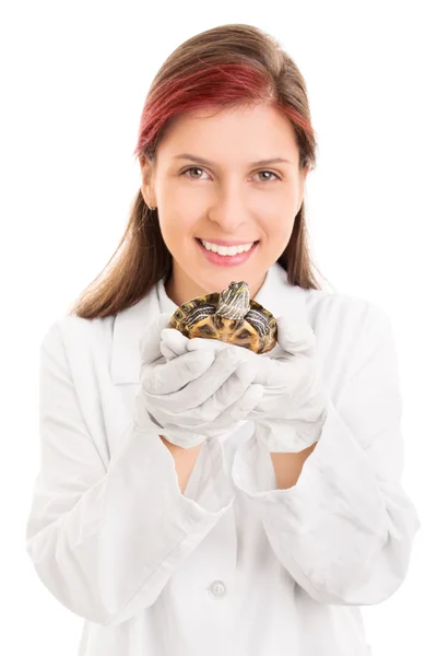 Veterinário jovem segurando uma pequena tartaruga de estimação — Fotografia de Stock