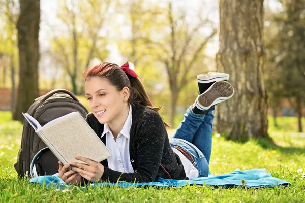 Estudante deitado em um prado lendo um livro — Fotografia de Stock