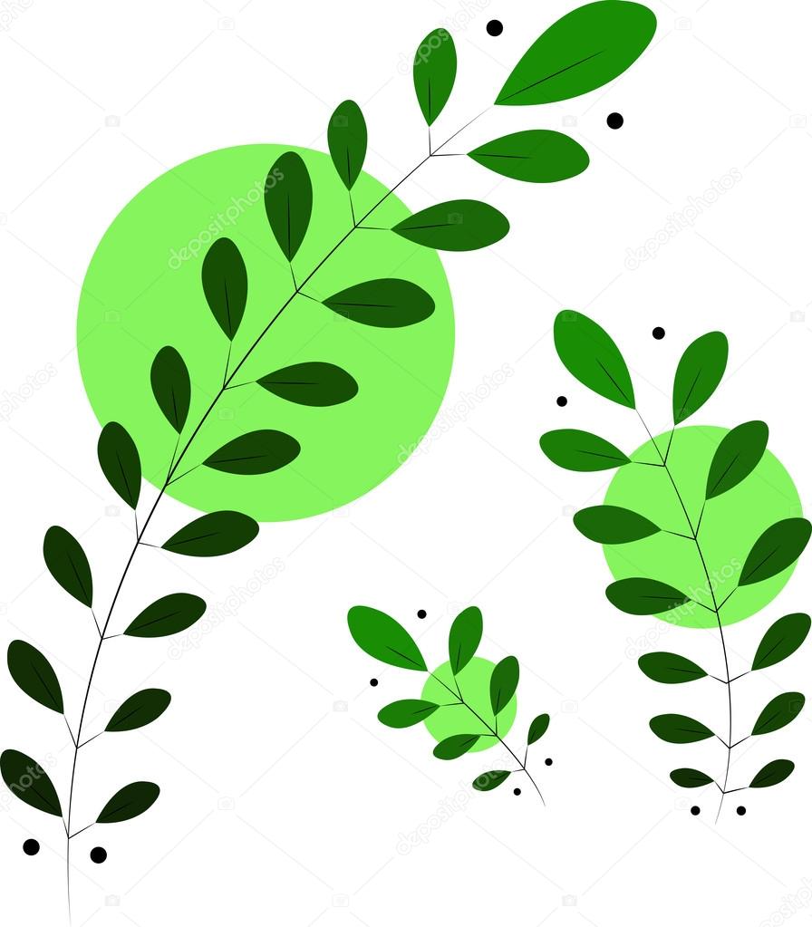 Green leaf branches with gradient