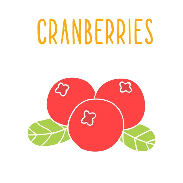 Cranberries superfood isolado em branco . —  Vetores de Stock