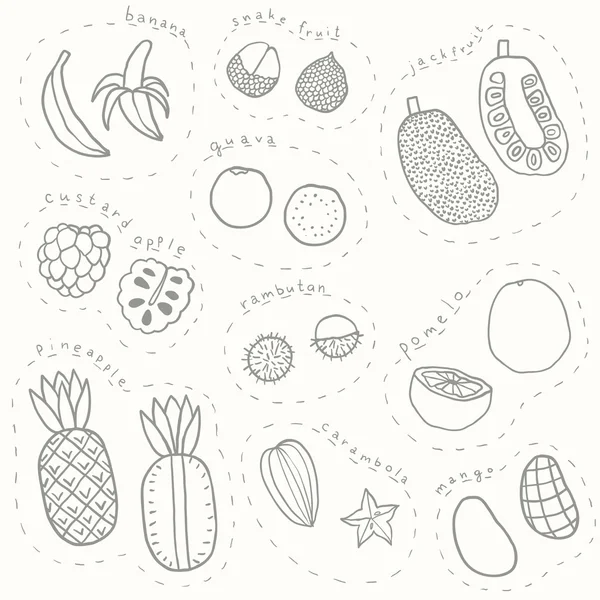 Set gambar tangan sketsa buah tropis bagian 1 - Stok Vektor