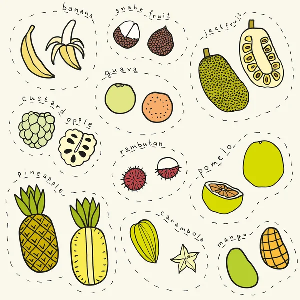 Ensemble de fruits tropicaux dessinés à la main partie 1 — Image vectorielle