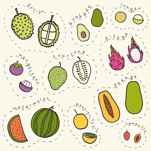 Ensemble de fruits tropicaux dessinés à la main partie 2 — Image vectorielle