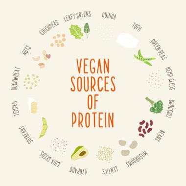 Vegan protein kaynaklarının.