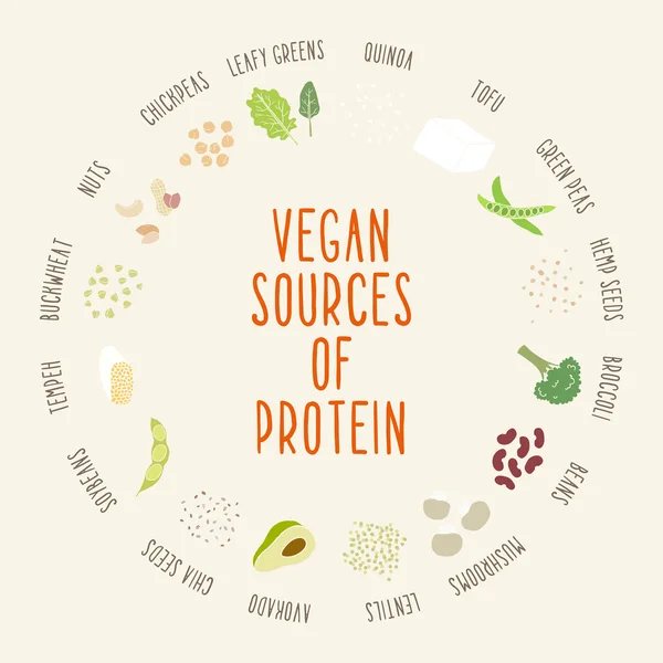 Vegan källor till protein. — Stock vektor