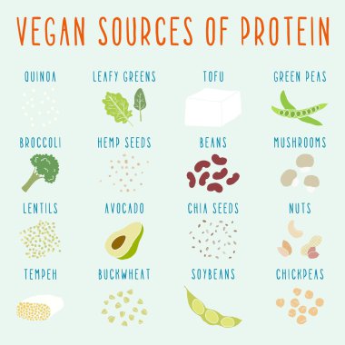 Vegan protein kaynaklarının.