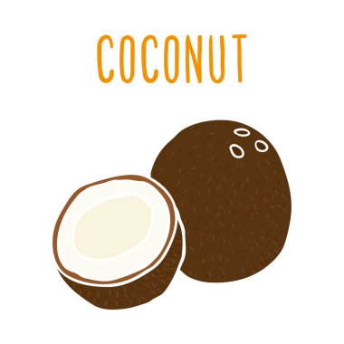 Coconut. clipart