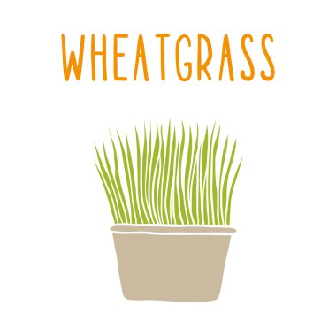 Wheatgrass. clipart