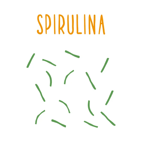 Spiruline . — Image vectorielle