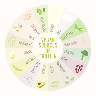 Vegan protein kaynaklarının.