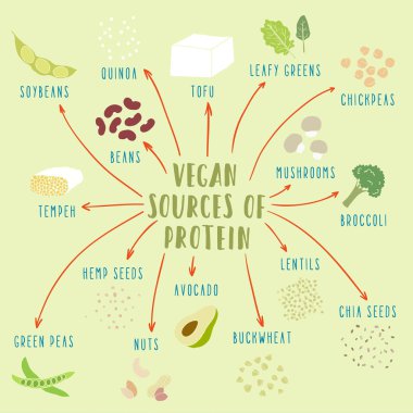 Vegan protein kaynakları bitkisel kökenli