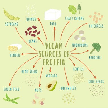 Vegan plant-based sources of protein