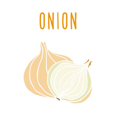 Beyaz üzerinde soğan izole.