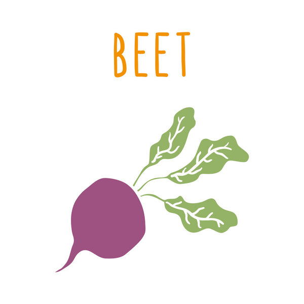 Beet root isolated on white.