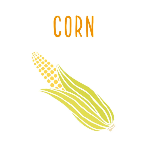 Corn isolated on white. — Stock Vector
