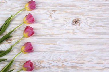 Beyaz ahşap zemin üzerinde pembe laleler