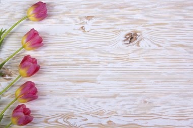 Beyaz ahşap zemin üzerinde pembe laleler